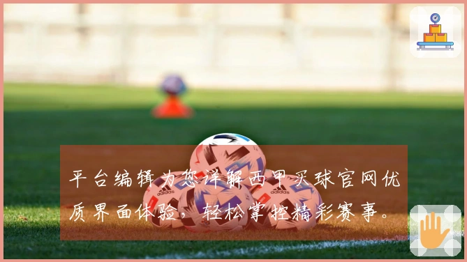 平台编辑为您详解西甲买球官网优质界面体验，轻松掌控精彩赛事。