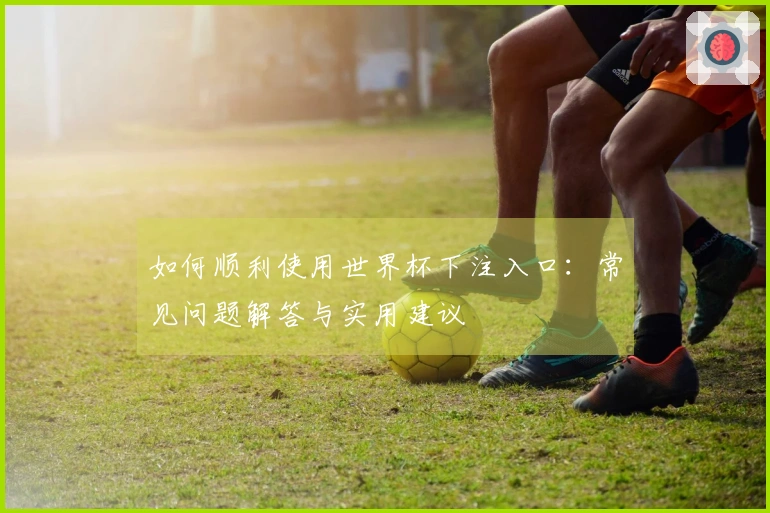 如何顺利使用世界杯下注入口：常见问题解答与实用建议