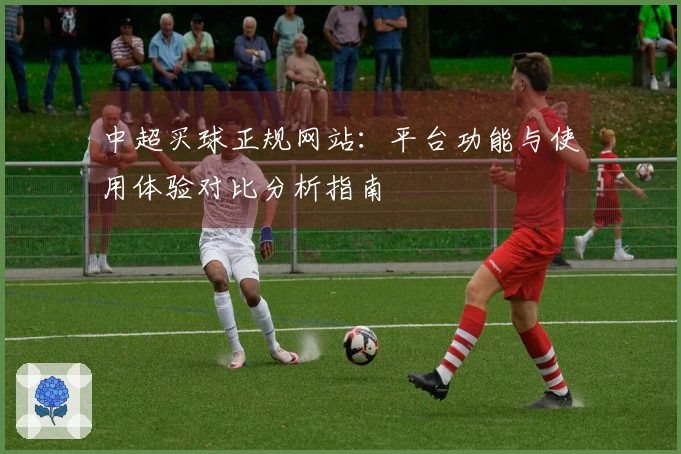 中超买球正规网站：平台功能与使用体验对比分析指南